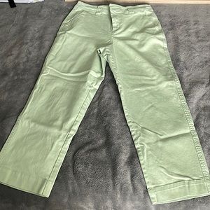 Very Stretchy Straight Leg Light Green Jeans